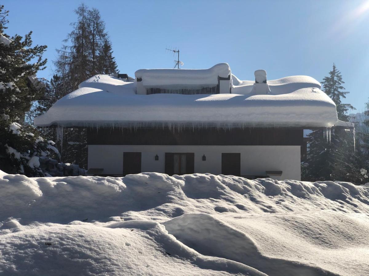 Luxury Panoramic 3Br Apt 2Min To Centre 5Min To Lifts Cortina dʼAmpezzo Exteriör bild