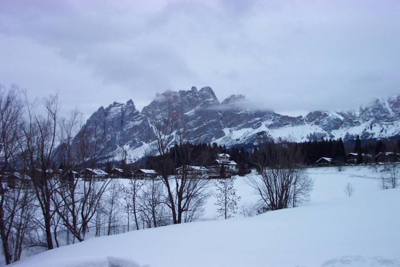 Luxury Panoramic 3Br Apt 2Min To Centre 5Min To Lifts Cortina dʼAmpezzo Exteriör bild