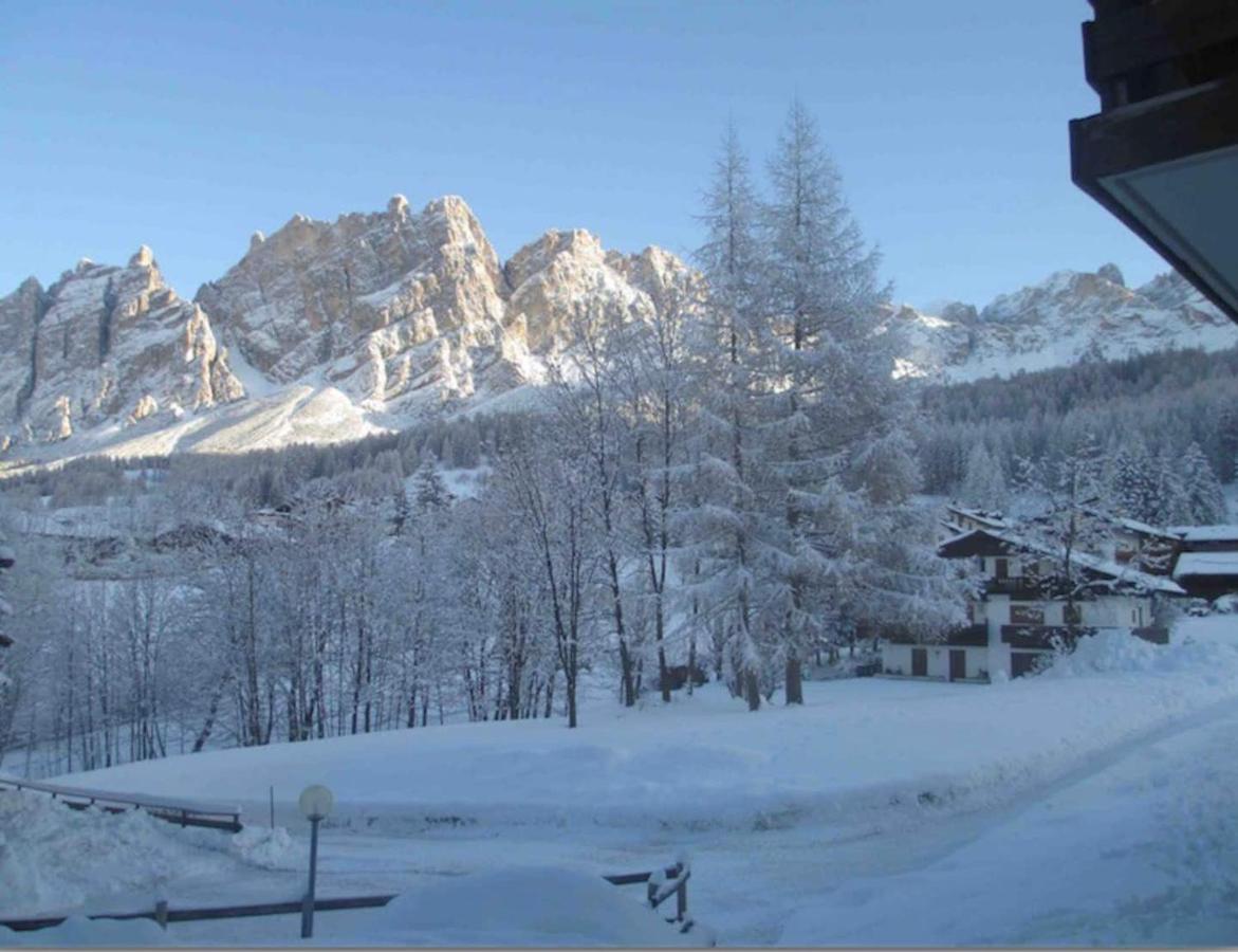 Luxury Panoramic 3Br Apt 2Min To Centre 5Min To Lifts Cortina dʼAmpezzo Exteriör bild