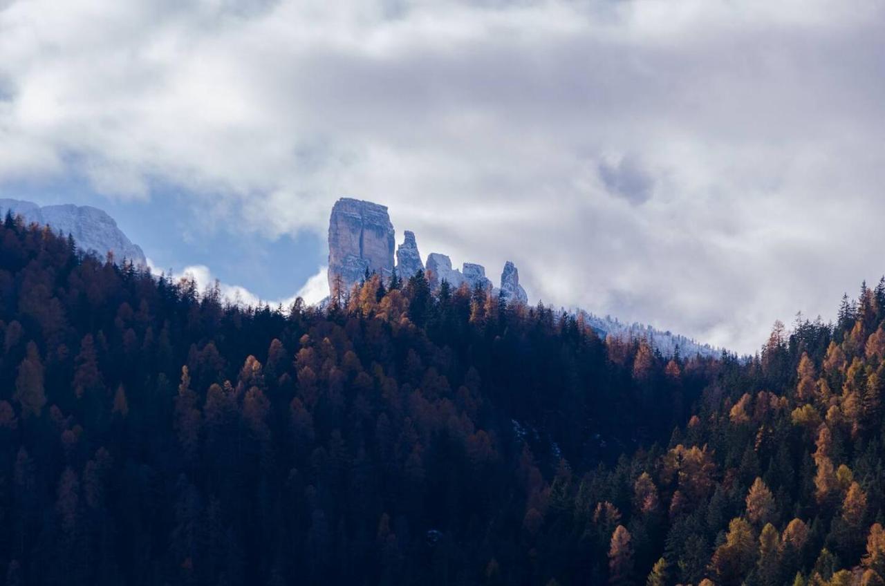 Luxury Panoramic 3Br Apt 2Min To Centre 5Min To Lifts Cortina dʼAmpezzo Exteriör bild